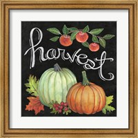 Autumn Harvest IV Square Fine Art Print