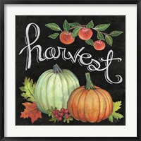 Autumn Harvest IV Square Fine Art Print