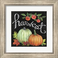 Autumn Harvest IV Square Fine Art Print