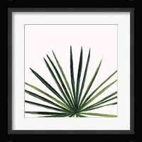 Statement Palms III Framed Print