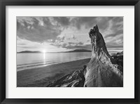 Samish Bay Sunset I BW Framed Print