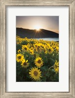 Columbia River Gorge Sunrise Fine Art Print
