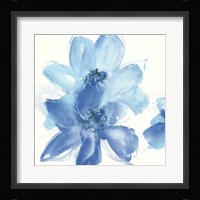Cobalt Clematis I Framed Print