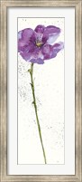 Mint Poppies I in Purple Crop Fine Art Print