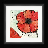 Not a California Poppy IV Framed Print