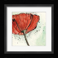 Not a California Poppy I Framed Print