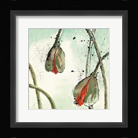 Not a California Poppy II Framed Print