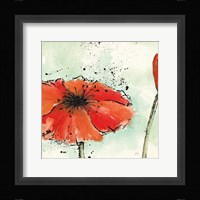 Not a California Poppy III Framed Print
