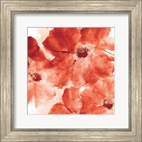 Seashell Cosmos I Red and Orange Fine Art Print