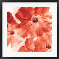 Seashell Cosmos I Red and Orange Framed Print