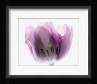 Inside Out I Fine Art Print