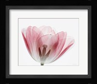 Inside Out III Fine Art Print