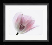 Inside Out IV Fine Art Print