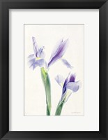 Light and Bright Floral III Fine Art Print