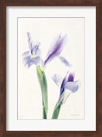 Light and Bright Floral III Fine Art Print