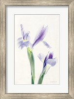 Light and Bright Floral III Fine Art Print