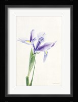 Light and Bright Floral IV Framed Print