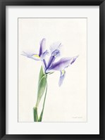 Light and Bright Floral IV Framed Print