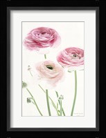 Light and Bright Floral VI Framed Print