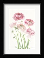 Light and Bright Floral V Framed Print