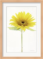 Light and Bright Floral VIII Fine Art Print