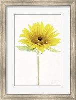 Light and Bright Floral VIII Fine Art Print