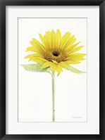 Light and Bright Floral VIII Framed Print