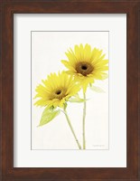 Light and Bright Floral VII Fine Art Print
