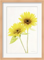 Light and Bright Floral VII Fine Art Print