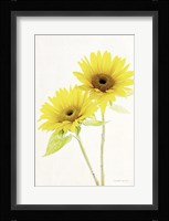Light and Bright Floral VII Framed Print