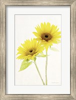 Light and Bright Floral VII Fine Art Print