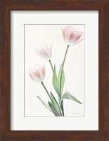 Light and Bright Floral I Fine Art Print