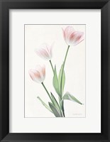 Light and Bright Floral I Fine Art Print