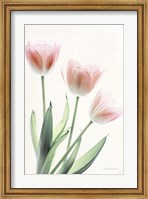 Light and Bright Floral II Fine Art Print