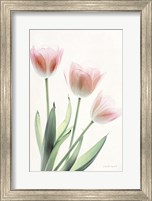 Light and Bright Floral II Fine Art Print