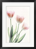 Light and Bright Floral II Framed Print