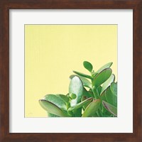 Succulent Simplicity IV Fine Art Print