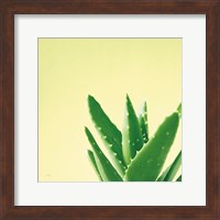 Succulent Simplicity VI Fine Art Print