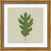 Forest Leaves II no Lines Fine Art Print
