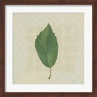 Forest Leaves III no Lines Fine Art Print