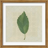 Forest Leaves III no Lines Fine Art Print