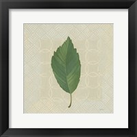 Forest Leaves III no Lines Framed Print