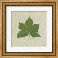 Forest Leaves I no Lines Fine Art Print