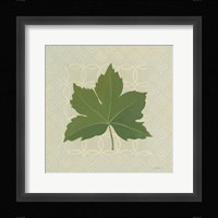 Forest Leaves I no Lines Framed Print