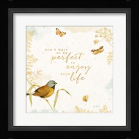 Natures Wisdom V Framed Print