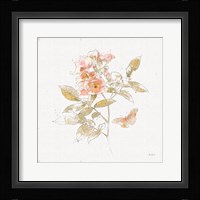 Watery Blooms VI Framed Print