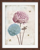 Geranium Study II Pink Flower Fine Art Print