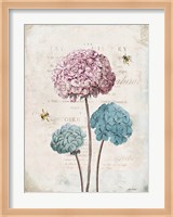 Geranium Study I Pink Flower Fine Art Print