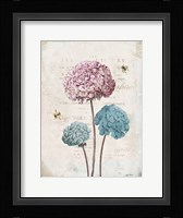 Geranium Study I Pink Flower Framed Print
