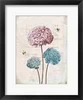 Geranium Study I Pink Flower Framed Print